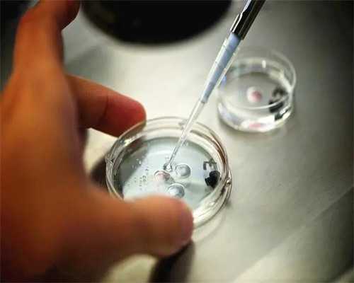 南京助孕机构选择指南与鼓楼医院代怀服务解析