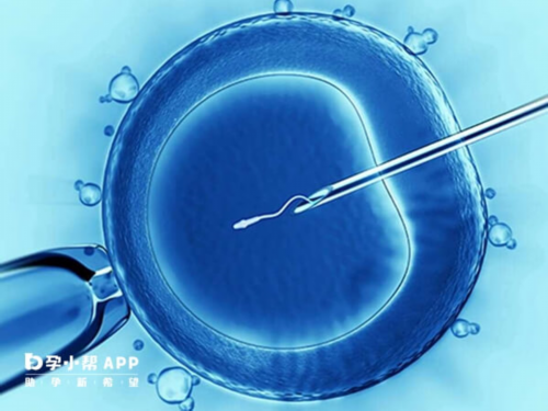 南京代怀服务选择指南与鼓楼医院供卵排队解析