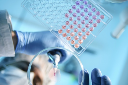 供卵试管助孕技术解析与政策困境