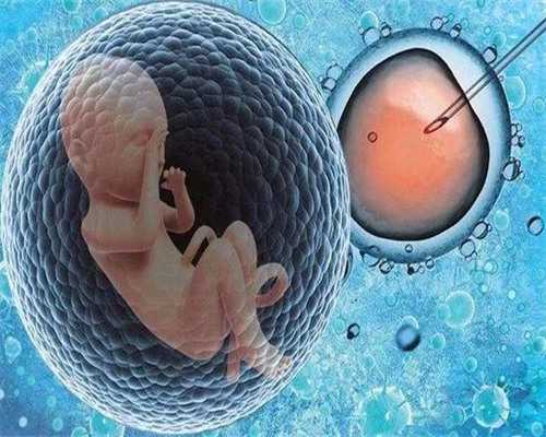南京供卵周期与试管婴儿医保报销指南及成功率分析