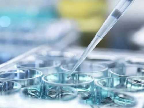 南京供卵试管咨询与代生服务指南：北京金贝供卵中心评价