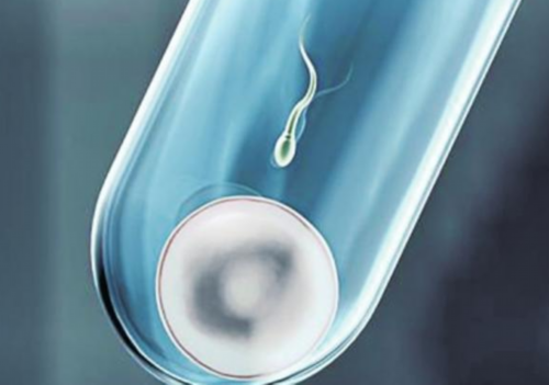 南京正规代生机构解析：泰国试管移植后腹胀原因与保胎指南