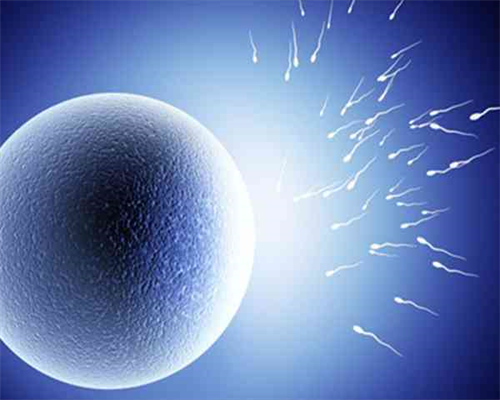 试管前检查最佳时间解析：助孕成功的关键步骤