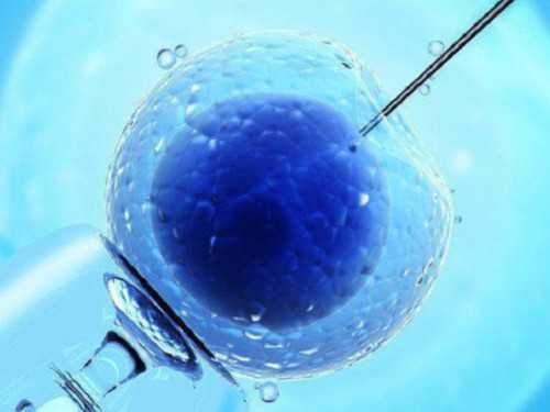 试管婴儿助孕成功率与供卵服务解析