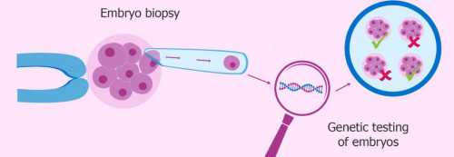 南京代孕那里较好 2026南京军区总医院试管婴儿成功率： ‘nt单月亮型看男女’