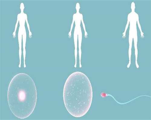 试管助孕成功率高的医院排名与费用解析