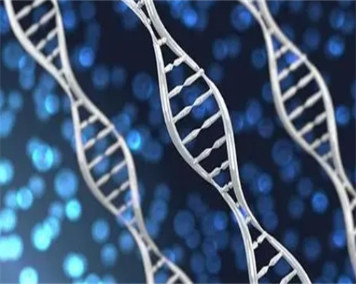 正规代孕公司与试管婴儿费用解析及精子活力问题探讨