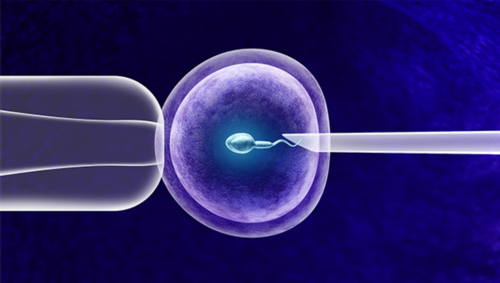 南京女性试管婴儿最佳年龄解析：35岁是否适合及成功率探讨