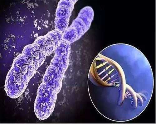 南京试管助孕机构选择与医院医生推荐指南