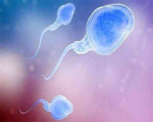 试管婴儿过程对女性的影响：疼痛与风险解析