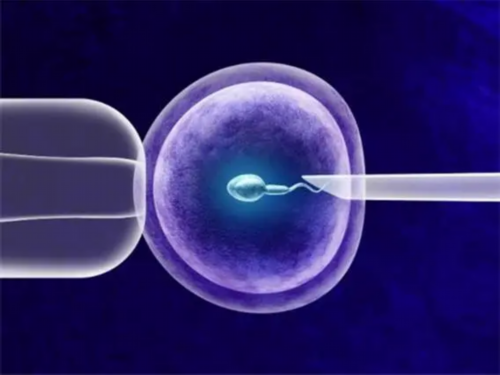 南京三代试管费用解析与医院选择指南
