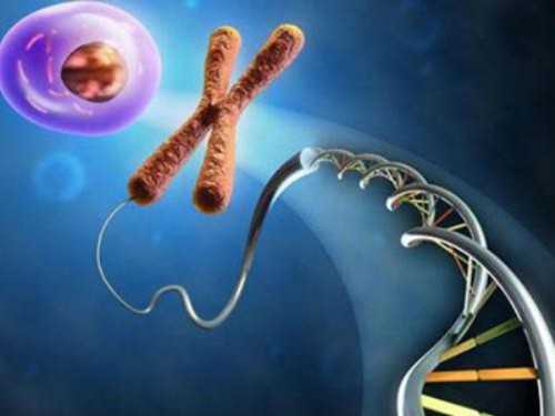 2026冷冻卵子流程与试管婴儿医院指南