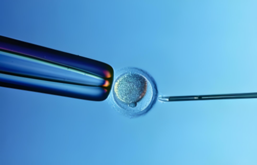 2026供卵代生机构排名与冷冻卵子费用解析