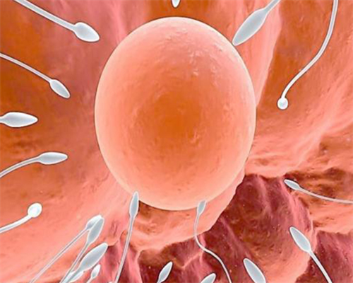 南京借卵试管费用解析与羊水穿刺报销指南及B超看男女探讨