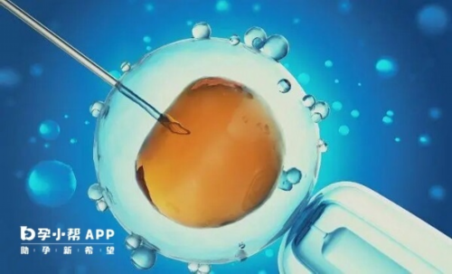 三代试管供卵与供精费用全解析及助孕指南