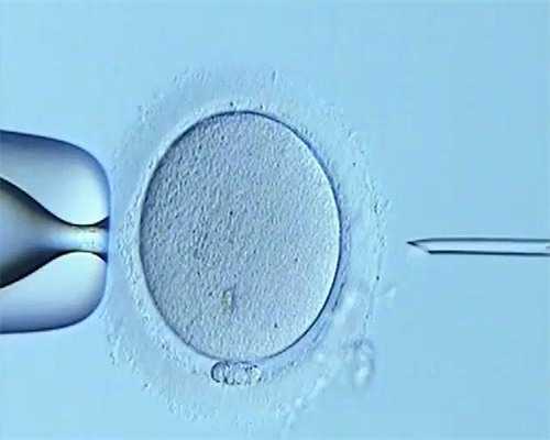 南京三代试管婴儿费用明细与医保报销指南