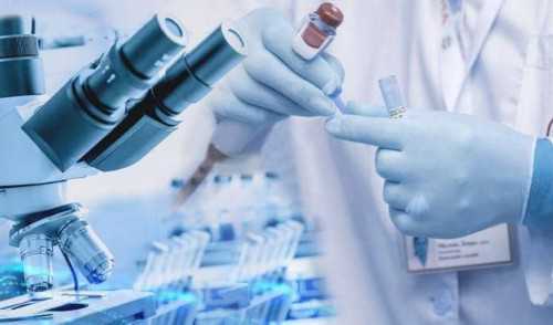 南京试管代怀专家分享：供卵怀双胞胎经历与B超看男女技巧