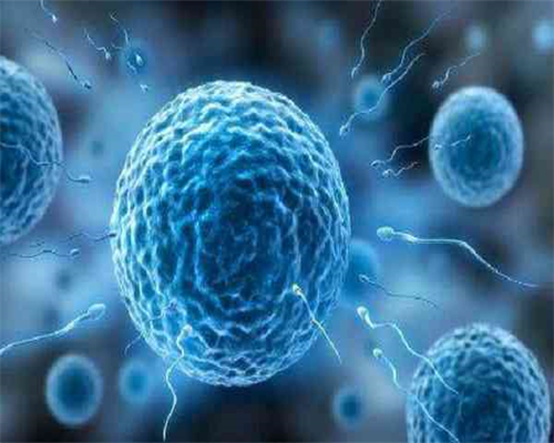 三代试管婴儿费用与心理干预对成功率的影响