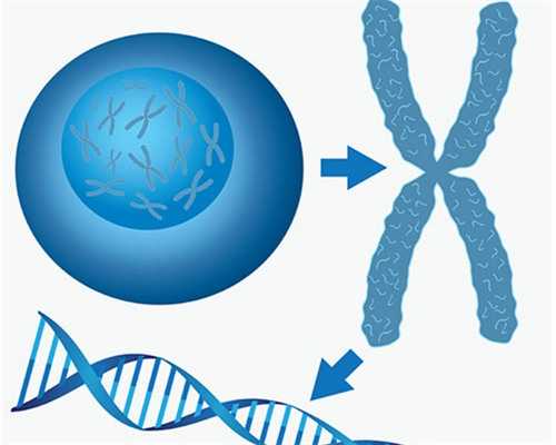 南京代生包性别与湘雅三代试管费用解析：手术伤害及代怀服务指南