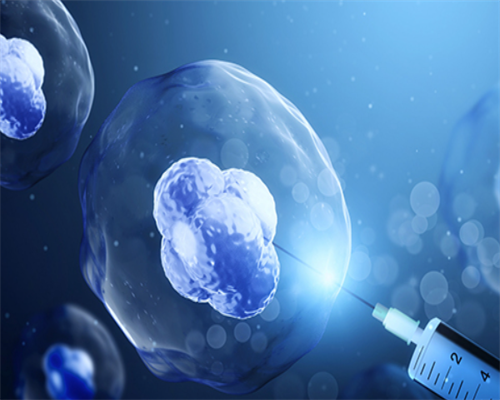 揭秘地下代孕市场：从国际服务到国内灰色交易