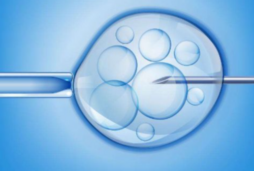 南京助孕年龄要求与试管医生推荐：19周彩超性别鉴定解析