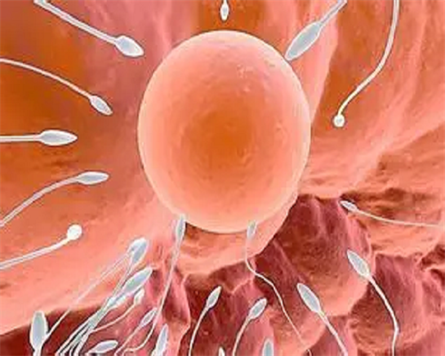 南京三代供精试管费用详解与成功率分析，助您实现代生梦想